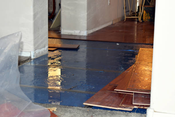 Professional Water Damage Restoration technician working in Norton, MA